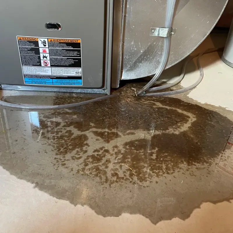 Appliance Leak Cleanup in Shandon, CA